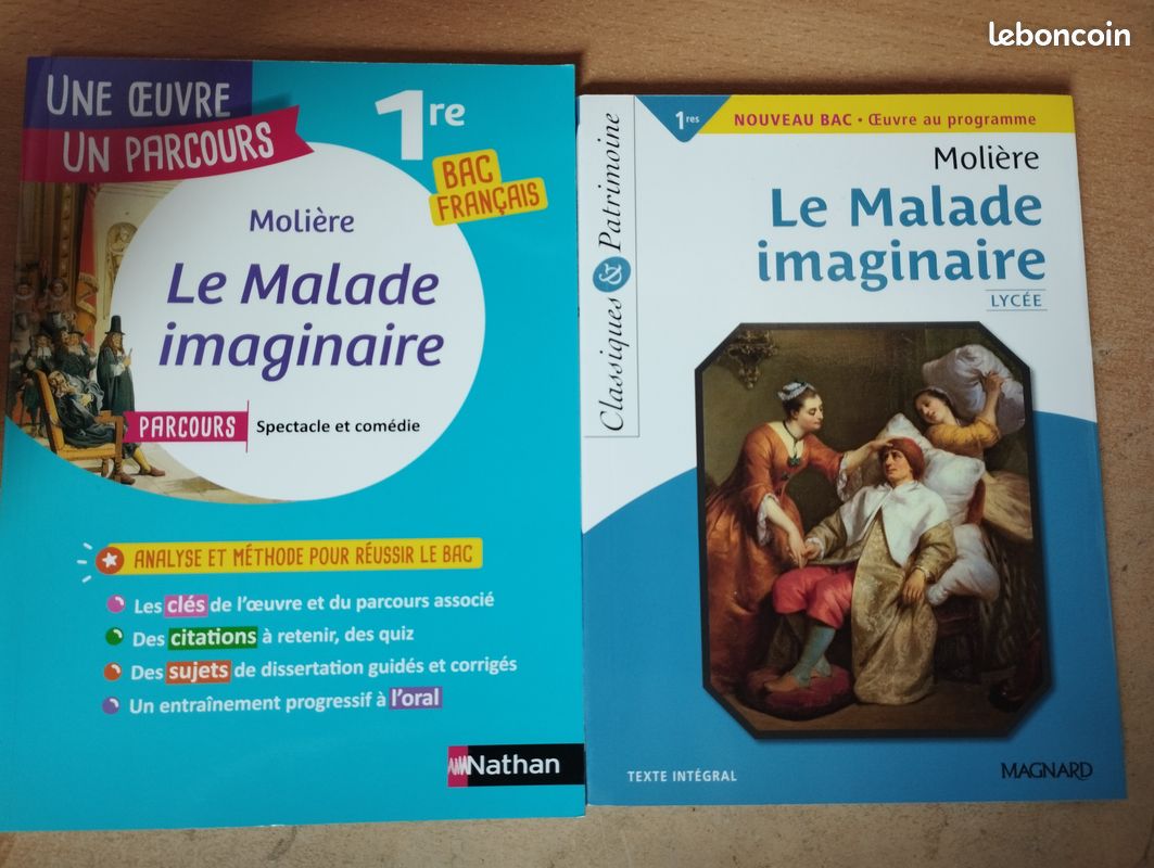 Livres d'analyse de lecture en 1 ère pour bac de Français (image 3)