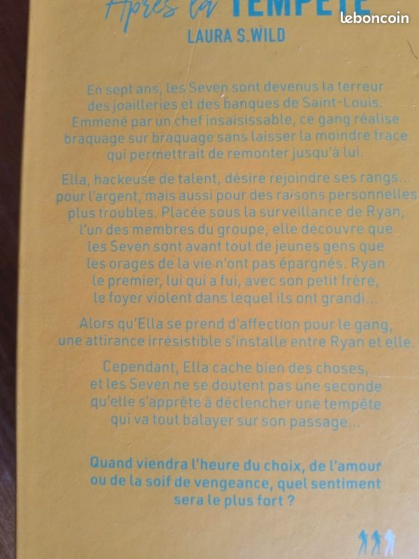 Roman Après la tempête de Laura S.Wild (image 2)