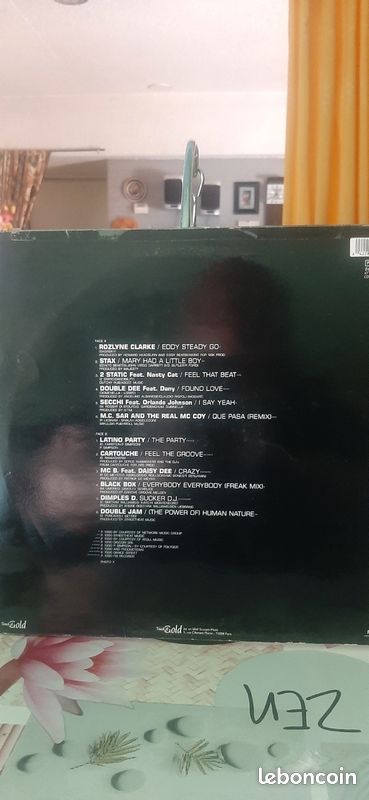 Divers disques maxi 45 tours et 33 tours (image 8)