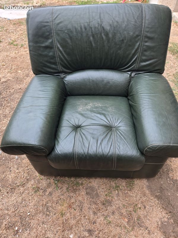 Fauteuil cuir vert (image 1)