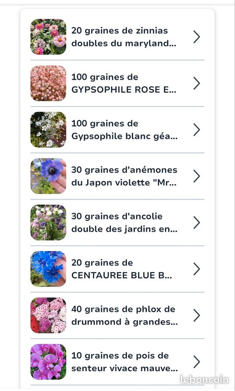 Lot de graines pour Lionad (image 2)