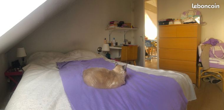 Chambre à Louer