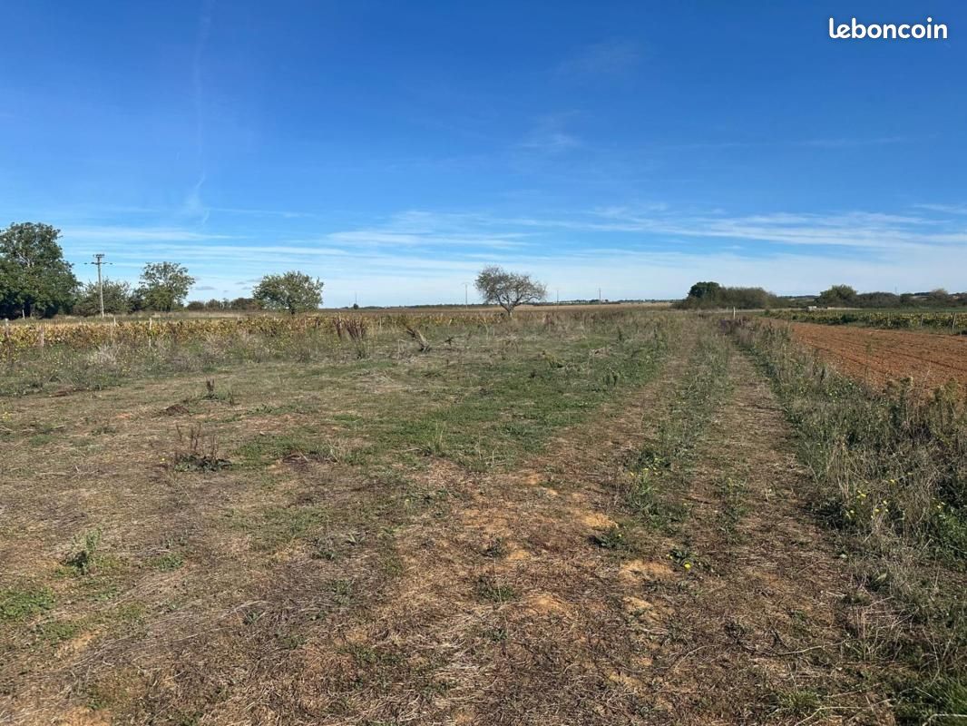Terrain 2241 m² · à Nalliers · 49 000 €