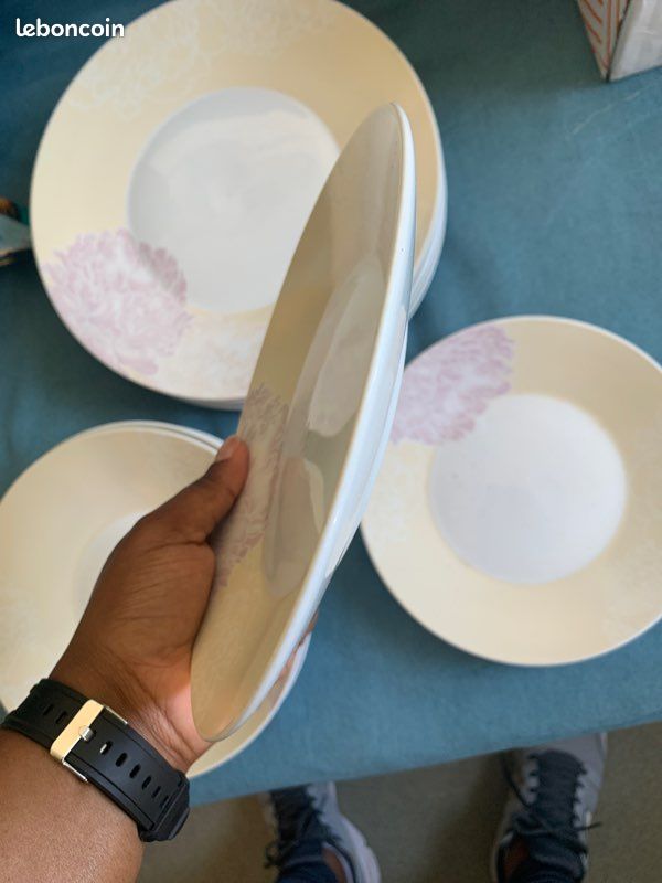 6 grand assiettes + 5 petite assiettes + 4 assiettes vendu ensemble URGENT (image 7)