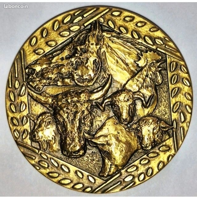 2626 - Médaille Comice agricole Cambrai 1852 - TTB - Aurum Omnes