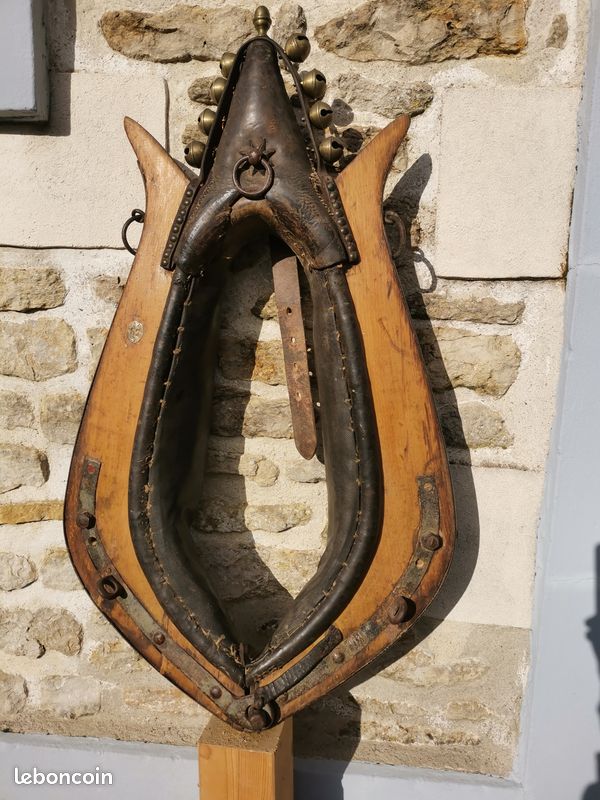 Collier de cheval (image 1)
