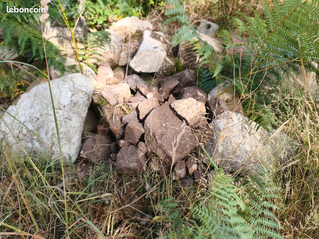 Donne pierres de toutes tailles (anciennes pierres de construction) (image 1)