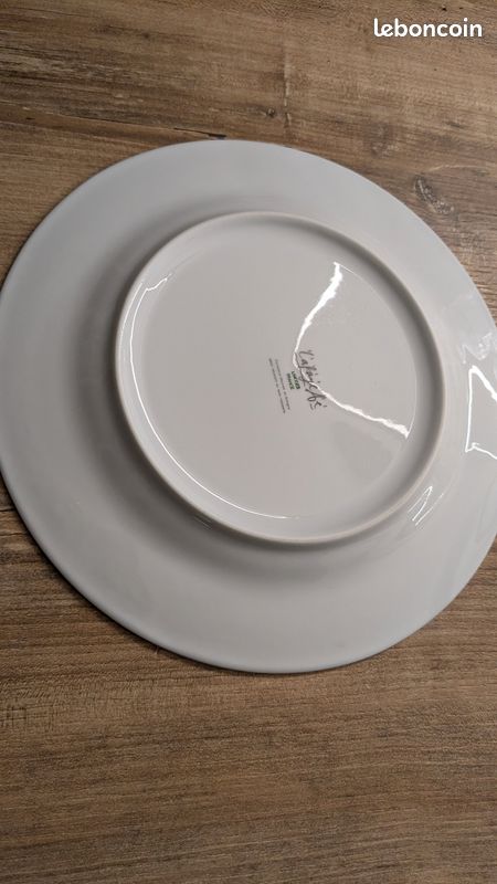 Lots de 18 assiettes plates (image 1)