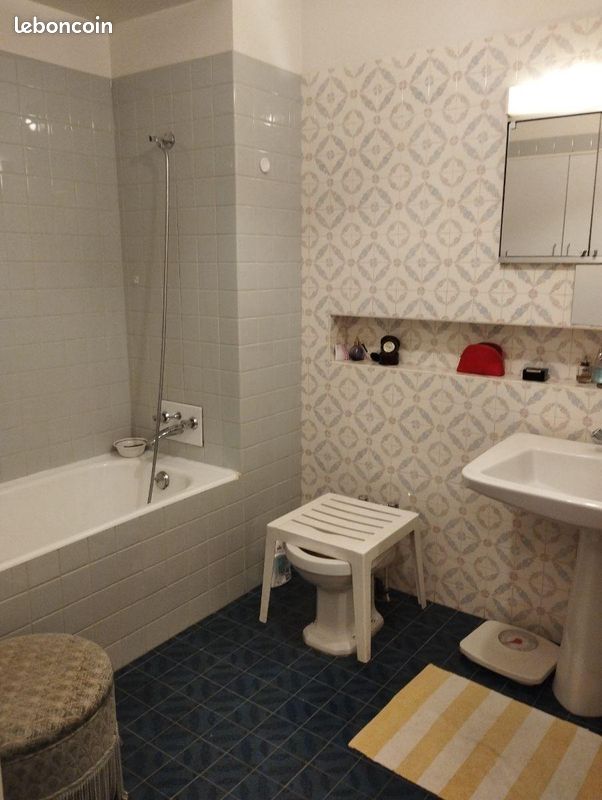 Appartement 8 pièces 172 m² - Limoges 87000 (image principale 9)