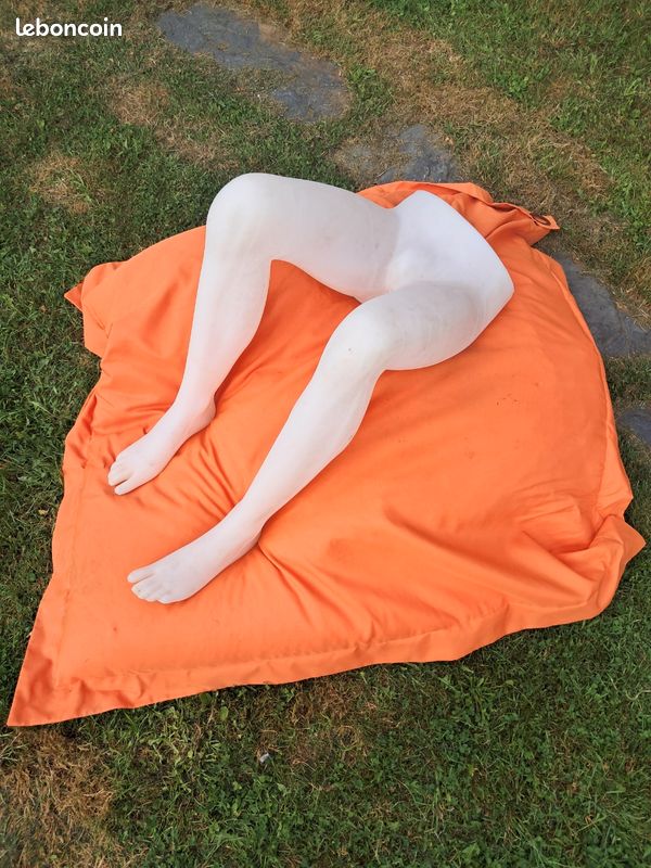 Vend divers pouf de jardin (image 2)