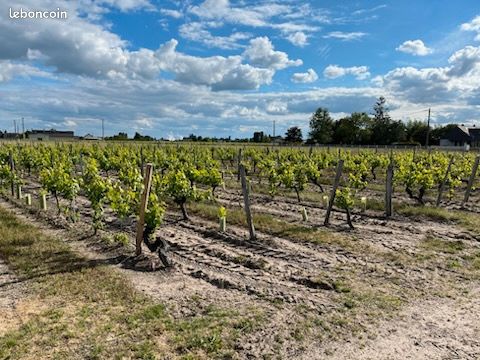 Terre agricole (image 2)