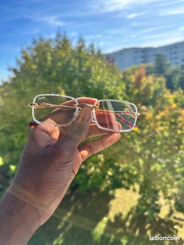 Lunette cartier panthère 3D Accessoires Bagagerie