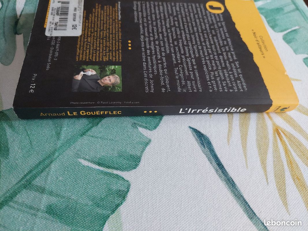 Livre L'irrésistible d' Arnaud Le Gouefflec (image 3)