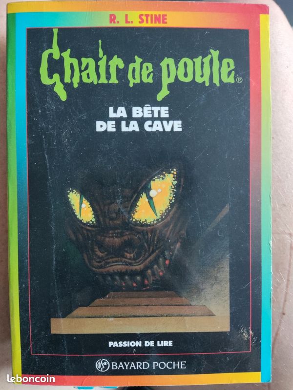 Chair de poule (image 5)