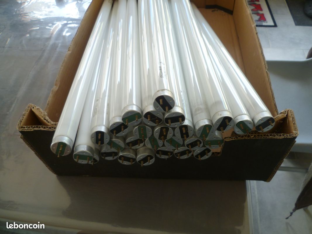 Néon tube (image 1)