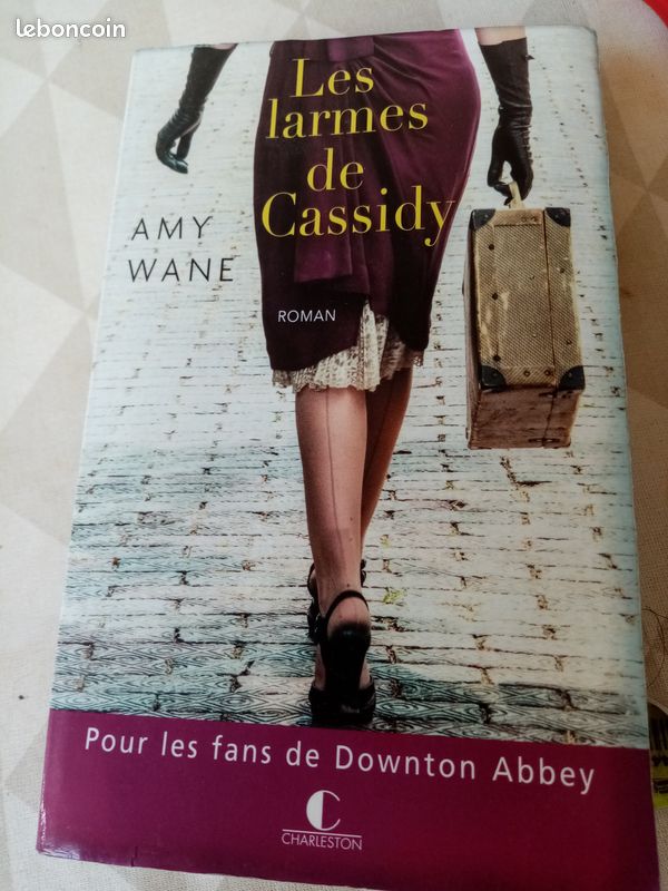 Livre les larmes de cassidy (image 2)