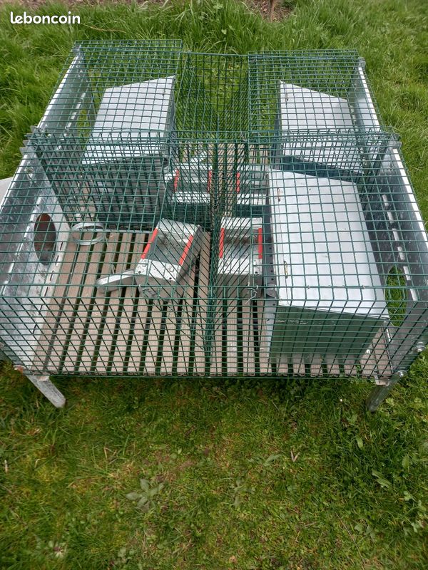 Cage lapins (image 1)