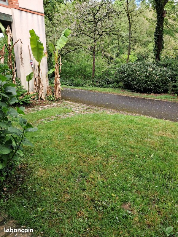 Emplacement camping (image 1)