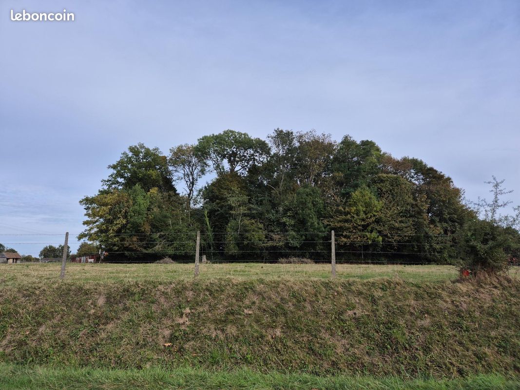 Terrain ROUTOT · 54 000 €