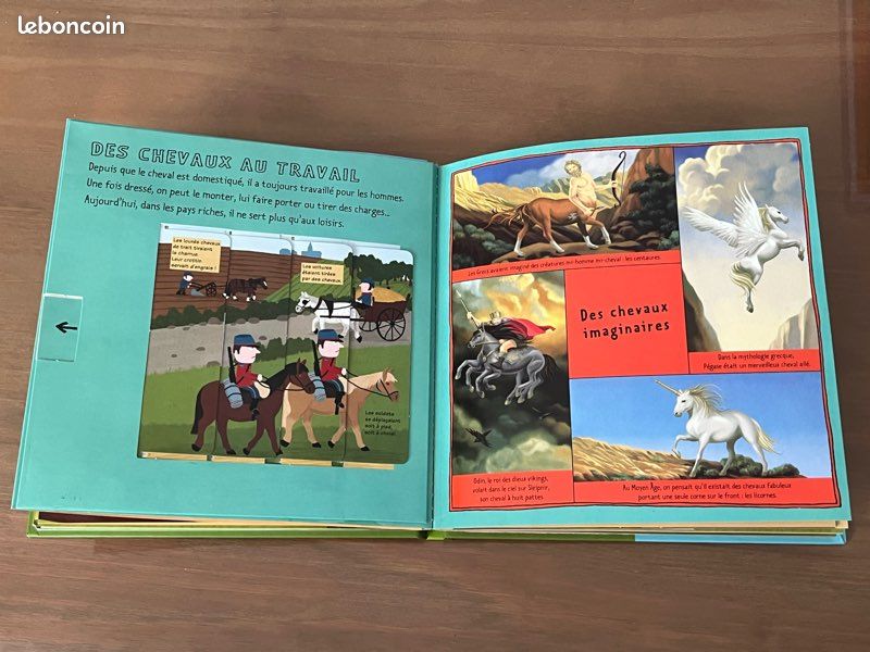 Les chevaux et les poneys KIDIDOC 6 ans (image 2)