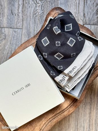 Écharpe 100% Cachemire Cerruti 1881 – Couleur Gris | Neuf Sans étiquette | Luxe Et Douceur