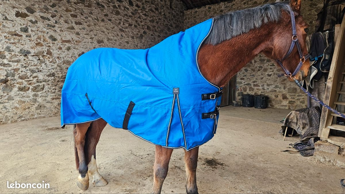 Aiguilloir Pied De Feu Pour Cheval/Poney - Col Fixe - 100g - 3 Pieds - Soin Sabot