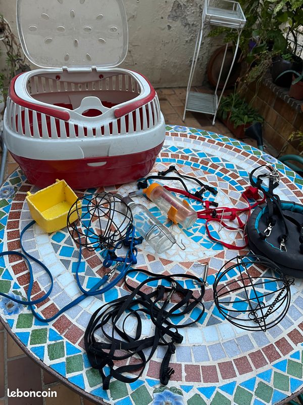 Vends boîte de transport pour cochon d’Inde et accessoires (image 2)