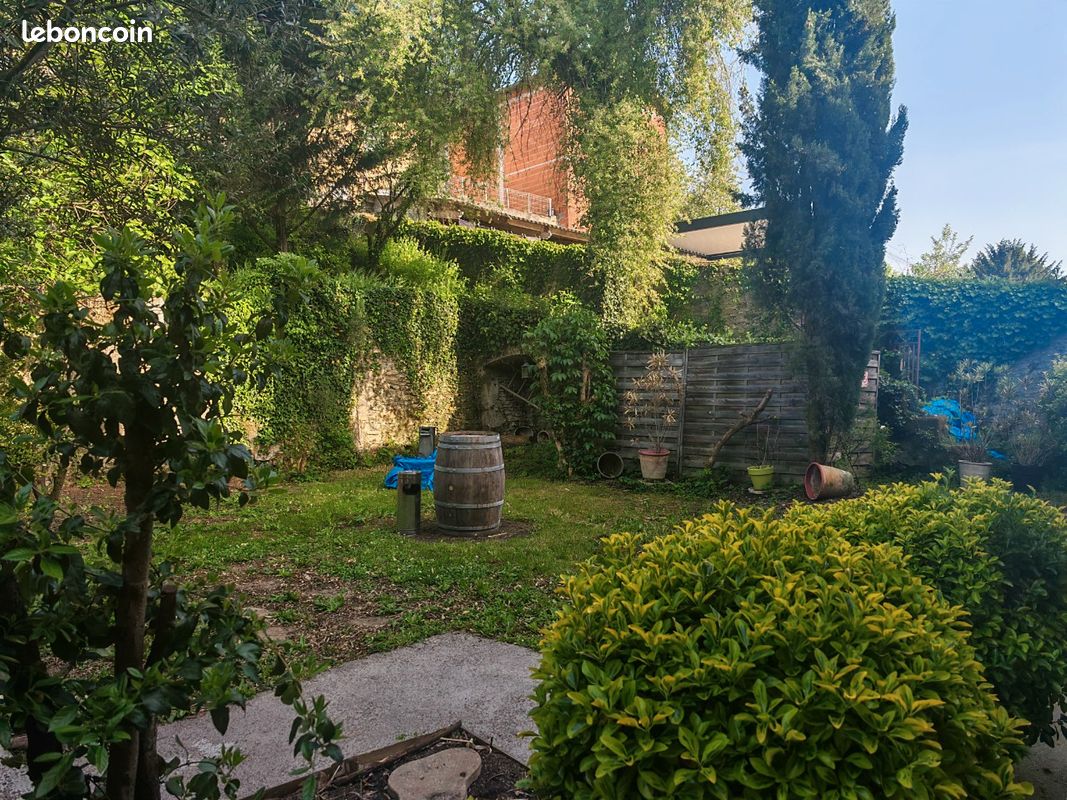Restaurant Pizzeria et murs (image 3)