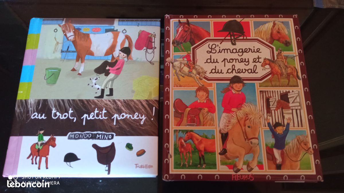 Livres sur cheval et poney (image 1)