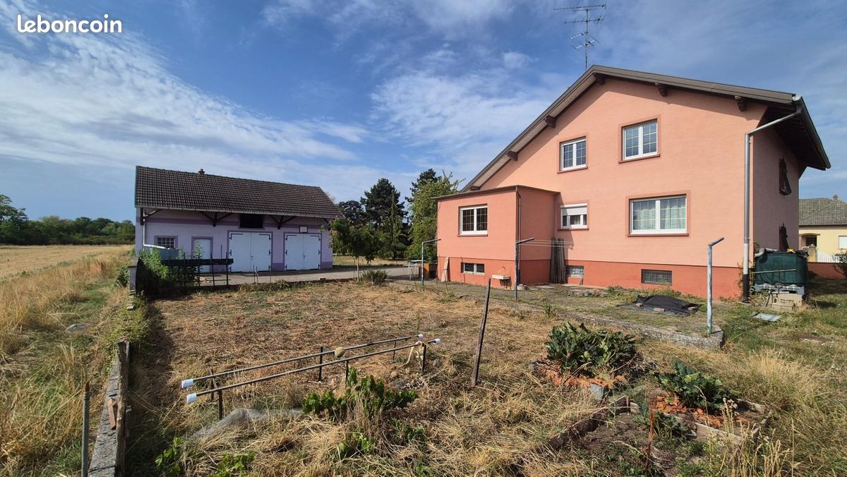 Maison 7 pièces 174 m² · à Réguisheim · 174 m² · 339 000 €