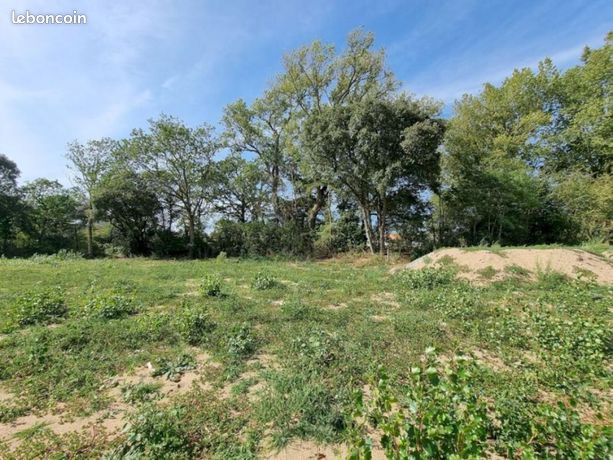 Terrain 1 100 m² Coly Saint Amand