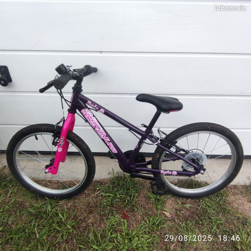 Vélo Nakamura Nyota 20