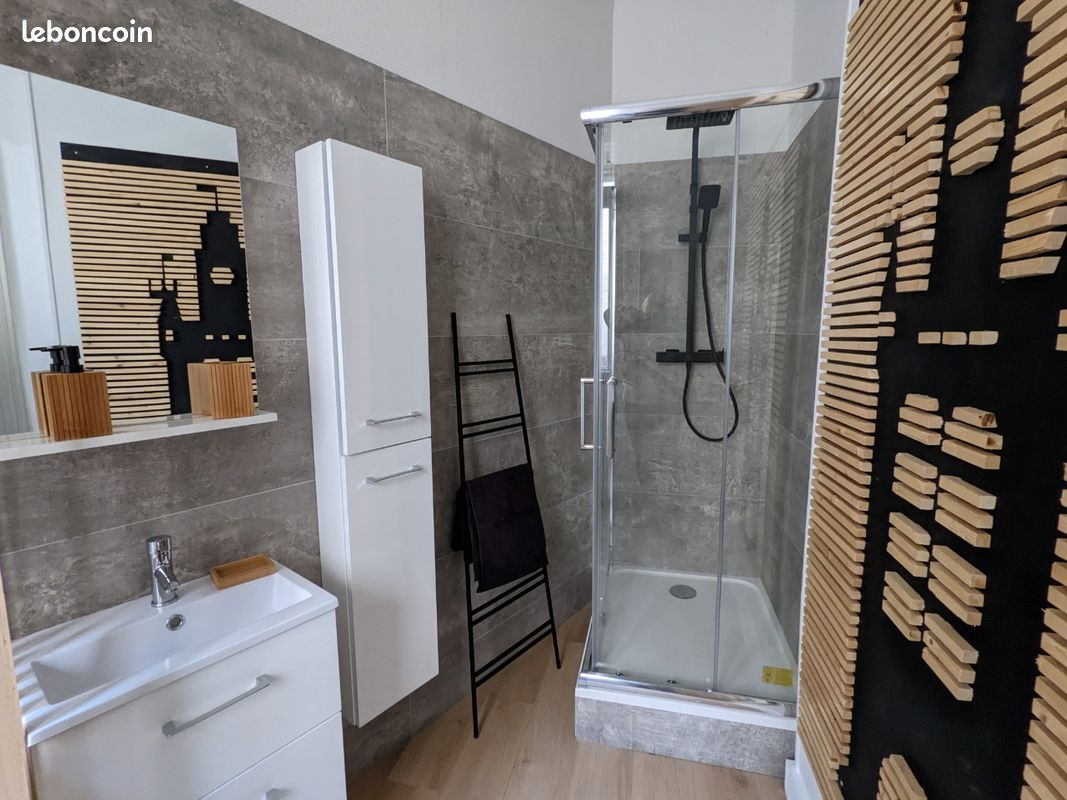 Meublé tout équipé 40m2 centre ville avec extérieur (image 3)