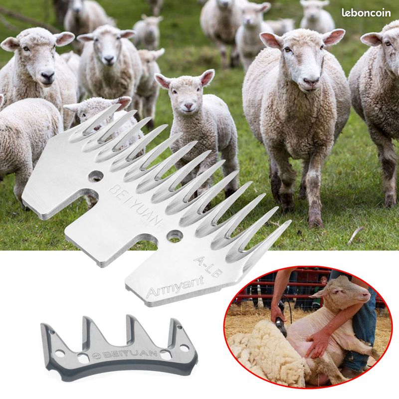 Lames De Tondeuse à Moutons En Acier Inoxydable - 13 Dents Droites, Pour Toilettage Animaux
