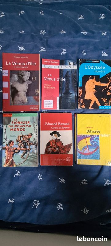 Livres 📚 collège (image 1)