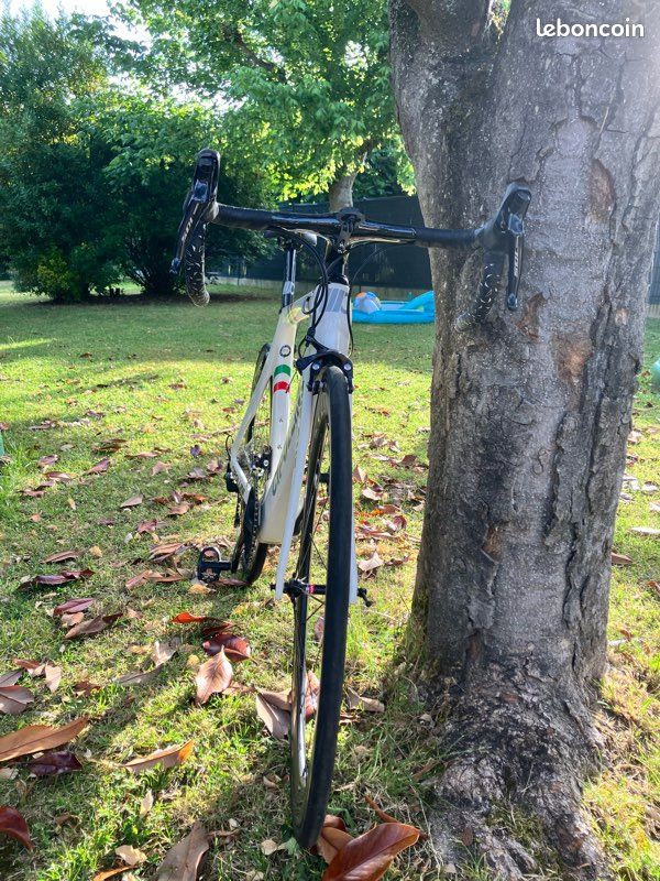 Vélo de route Cipollini RB1K (image 5)