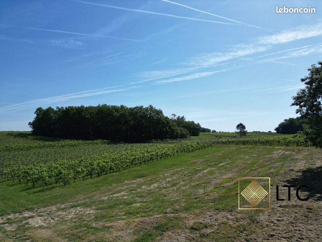 Terrain 933 m² PERISSAC (image 4)