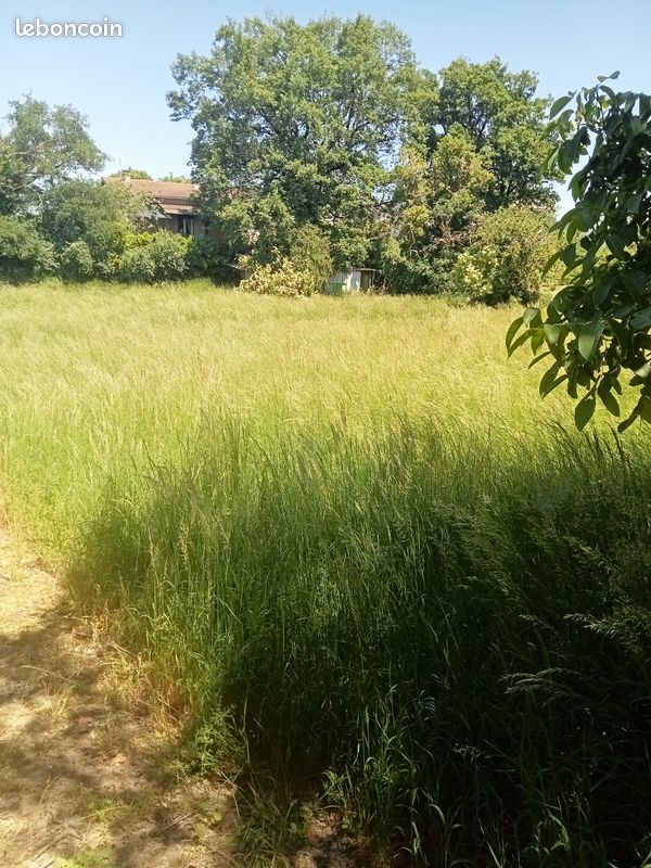 Vend terrain a batir · à Réquista · 19 000 €