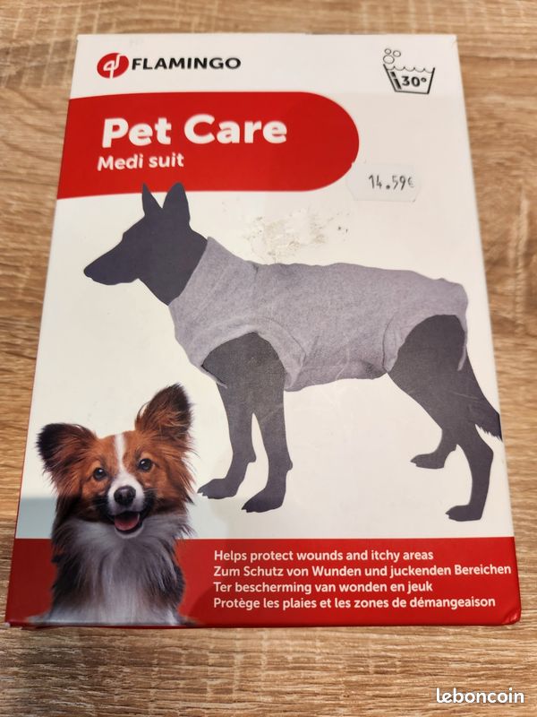 Body chien (image 2)