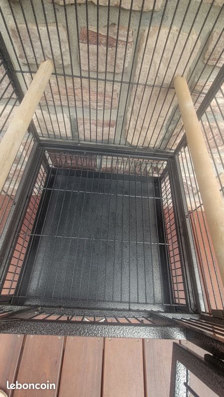 Cage à oiseaux (image 3)