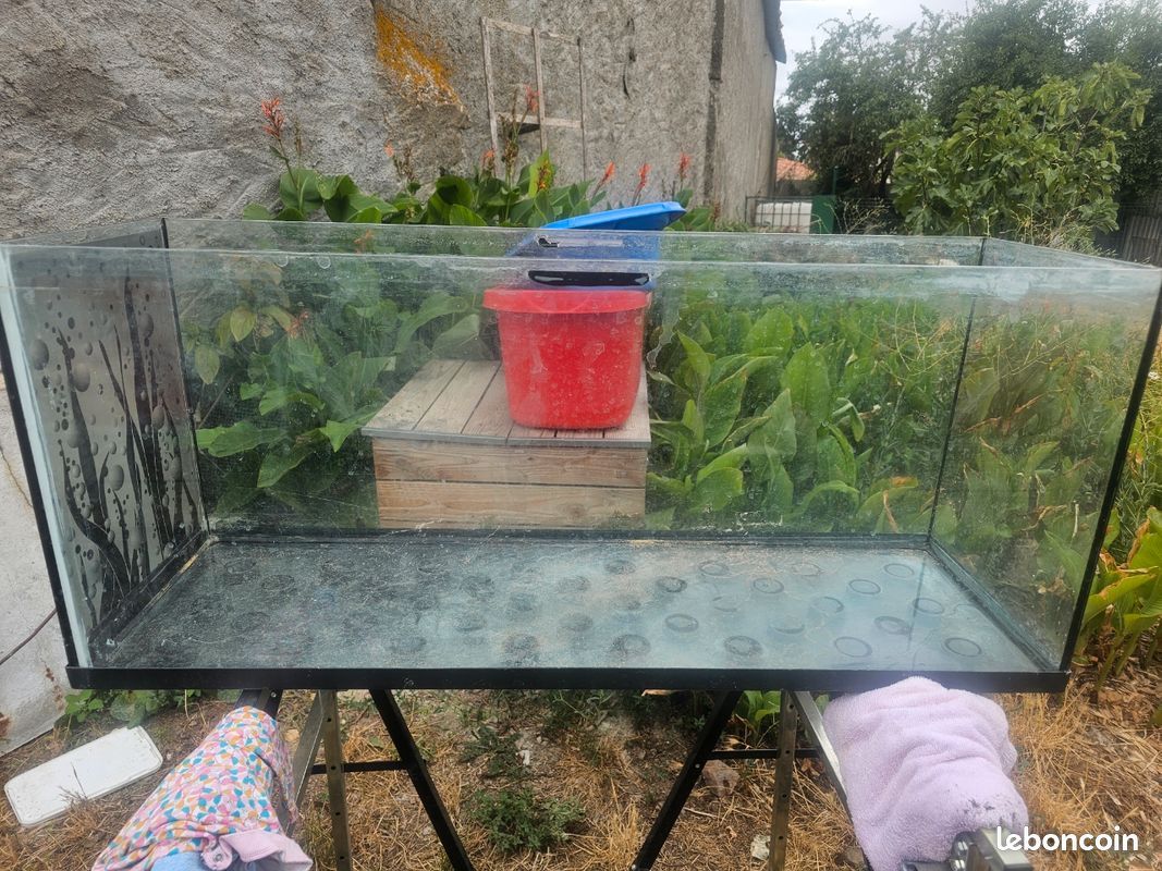 Aquarium-vivarium (image 1)