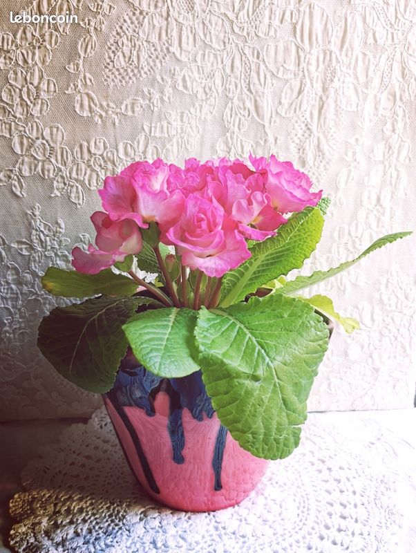 Vintage cache pot Vallauris style boudoir 50's faïence vernissé rose fushia & noir (image 11)