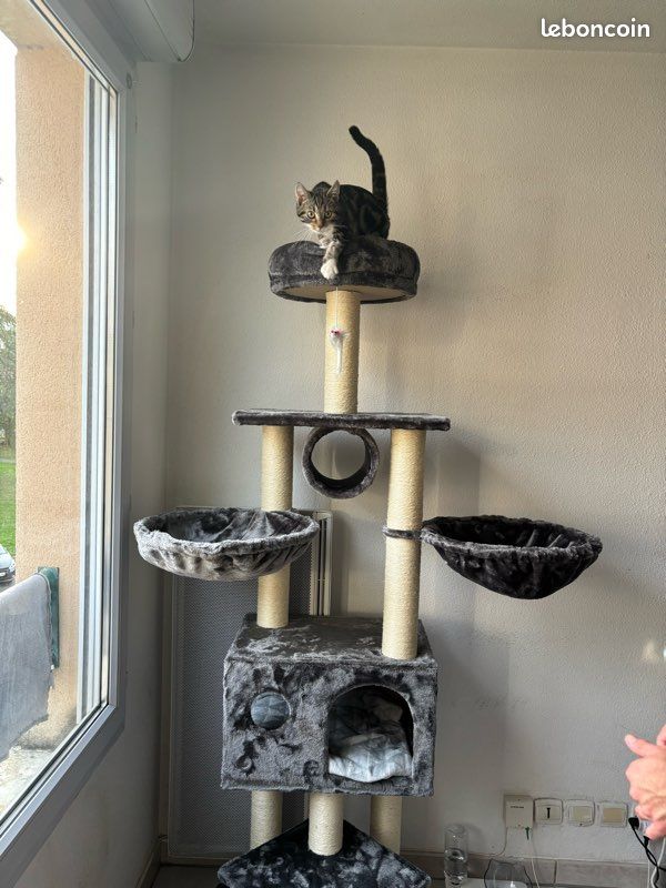 Arbre à chat (image 3)