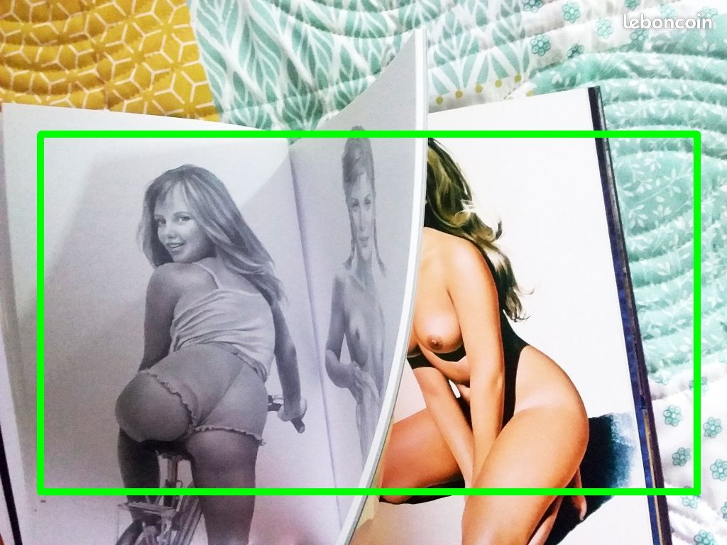 "Pin-up Tome 2" (érotisme ++) ASLAN - pour adultes avertis - AVCP (image 6)