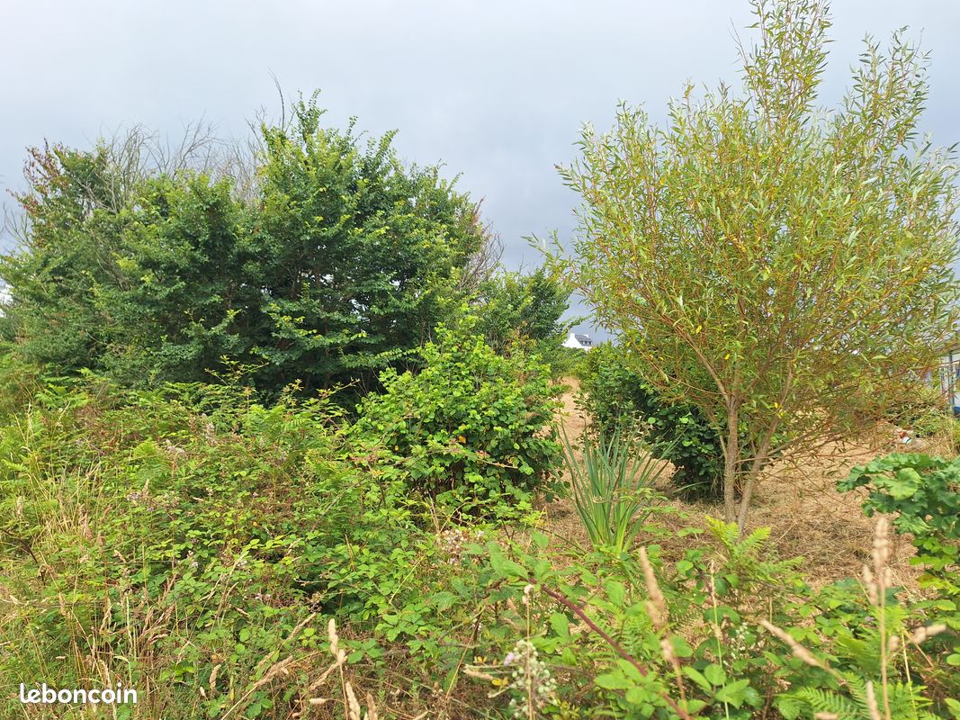 Joli terrain proche de la côte sud du Cap Sizun · à Plogoff · 16 000 €
