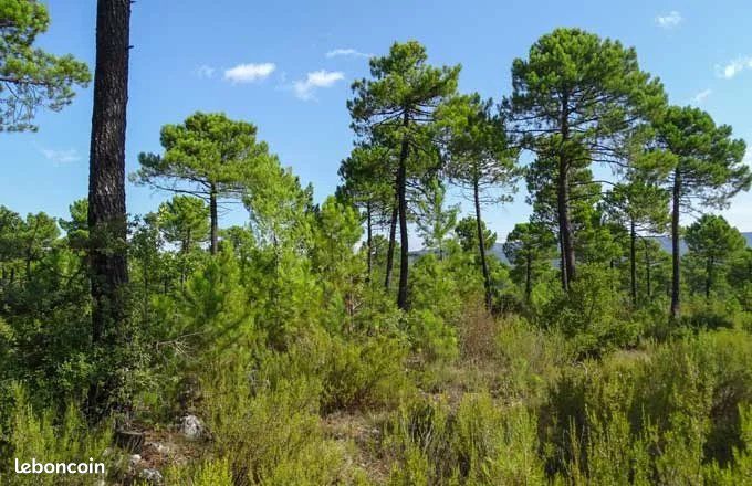Terrain 2731 m² · à Nans-les-Pins · 2 731 m² · 16 000 €