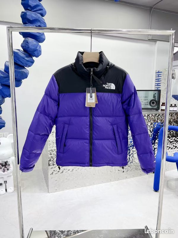 Vêtement homme, neuf, The North Face, taille L (image 1)