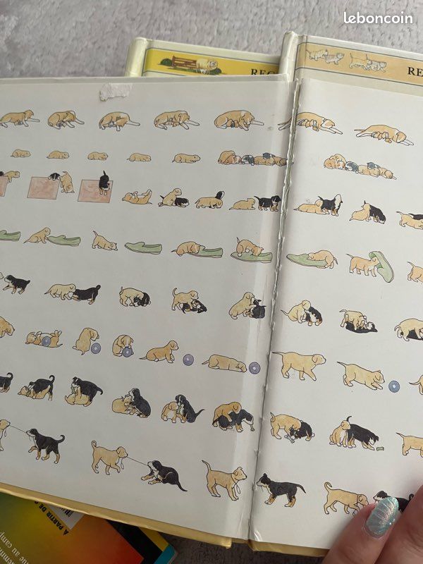 Lot livres animaux hachette jeunesse (image 7)