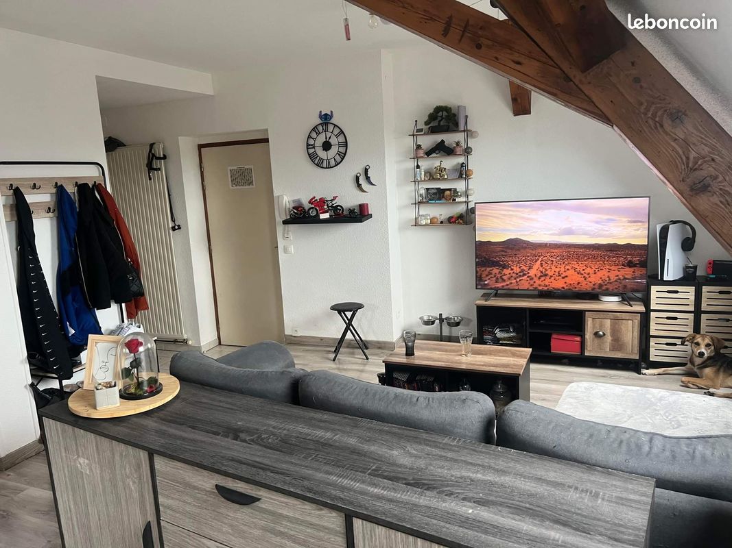 Appartement 2 pièces 45 m² · à Altkirch · 45 m² · 650 €/mois