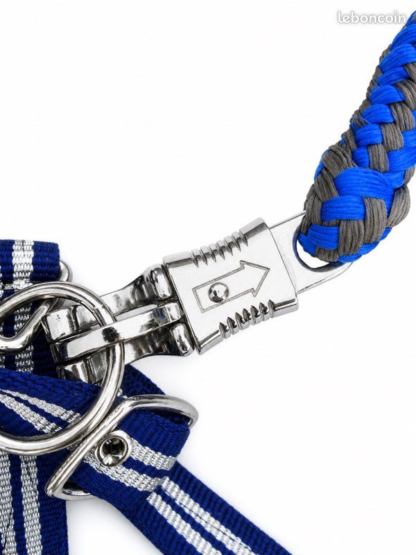 Cwell Equine Licol En Corde Naturelle Pour Cheval - Taille Unique Bleu Roi F/C/P